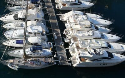 Owning a Marina: A Profitable Venture
